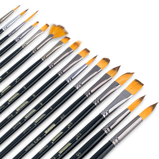 Transon 16 pcs Artist Paint Brush Set Versatile for Acrylic Painting Watercolor Painting Gouache Painting Black Color