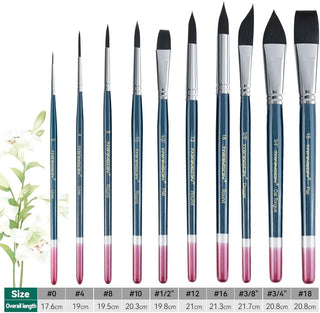 Transon 10pcs Natural Watercolor Paint Brush Set Professional