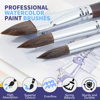 Transon 11pcs Sable Watercolor Brushes Professional Brush Set