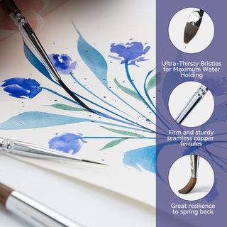 Transon 11pcs Sable Watercolor Brushes Professional Brush Set