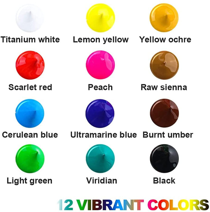 Transon Acrylic Paint Set 12-Color with 3 Paint Brushes for Craft Canvas Rock Art Painting Acrylic Paint TRANSON 