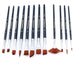 Transon Assorted Artist Painting Brush Set 12pcs Versatile for Acrylic Watercolor Gouache and Oil Paintbrush TRANSON 