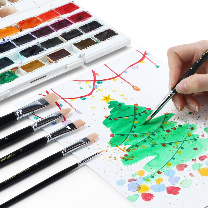 Transon Paint Brush Set 6pcs Art Painting Synthetic Bristle for Acrylic Watercolor Gouache Oil Leather Canvas and Face Painting Paintbrush TRANSON 